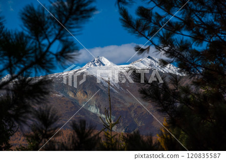 Snowy mountain peaks framed by pine branches in Altai landscape Snowy mountain peaks framed by pine branches in Altai landscape 120835587