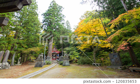 中野楓山 秋天 青森郡 中野神社 120835653