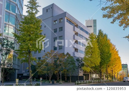 澀谷稅務署、澀谷地方聯合政府事務所 澀谷稅務署、澀谷地方聯合政府事務所 120835953