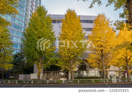 Shibuya Tax Office, Shibuya Regional Joint Government Building 120835955