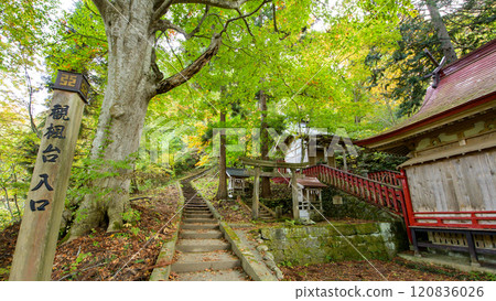Autumn at Nakano Momijiyama: A walking path from the side of the shrine to the viewing platform, Aomori Prefecture 120836026
