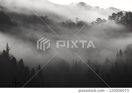 背景影像單色風景、霧山脈和樹木 背景影像單色風景、霧山脈和樹木 120836073