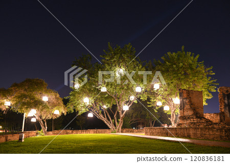 Night theme garden decoration with tree decorated with light bulb. 120836181
