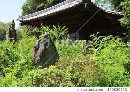 Scenery of Morinji Temple in Tatebayashi, Gunma Prefecture 120836320