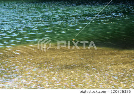 The calm water surface sparkles in the autumn light. Occasionally, the ripples created by the wind sway and change shape. A serene moment. The calm water surface sparkles in the autumn light. Occasionally, the ripples created by the wind sway and change shape. A serene moment. 120836326