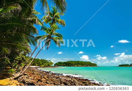 Tropical Beach on Saint Joseph Island, Part of the Salvation Islands in French Guiana, South America 120836363
