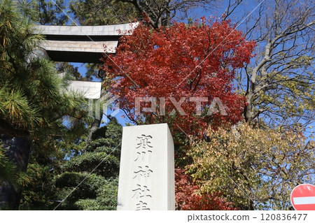 秋天的神社 120836477