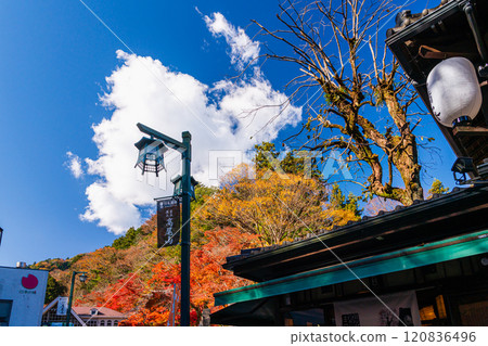 Autumn at Mount Takao: Scenery in front of Kiyotaki Station 120836496