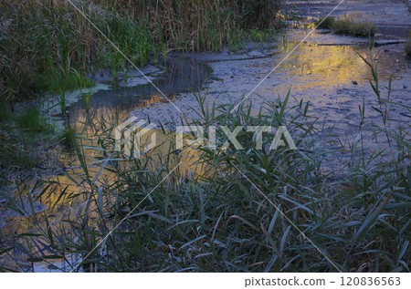 奧日子.山脈秋色燦爛，天空溫暖，蔚藍的天空鋪展到宇宙中。一段幸福的時光。 120836563