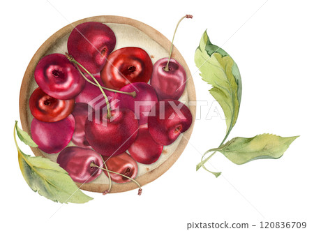 Sweet sour red cherry berries on ceramic plate, hand drawn in watercolor, ripe cerise with leaves, stems. Isolated composition illustration. For restaurant, cafe dessert menu, wedding, farmers market Sweet sour red cherry berries on ceramic plate, hand drawn in watercolor, ripe cerise with leaves, stems. Isolated composition illustration. For restaurant, cafe dessert menu, wedding, farmers market 120836709
