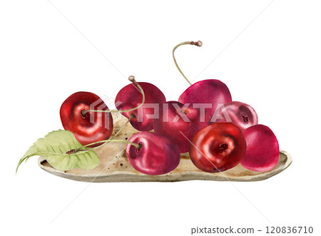 Sour sweet red cherry berries on ceramic plate, hand drawn in watercolor, ripe cerise with leaves, stems. Isolated composition illustration. For restaurant, cafe dessert menu, wedding, farmers market Sour sweet red cherry berries on ceramic plate, hand drawn in watercolor, ripe cerise with leaves, stems. Isolated composition illustration. For restaurant, cafe dessert menu, wedding, farmers market 120836710