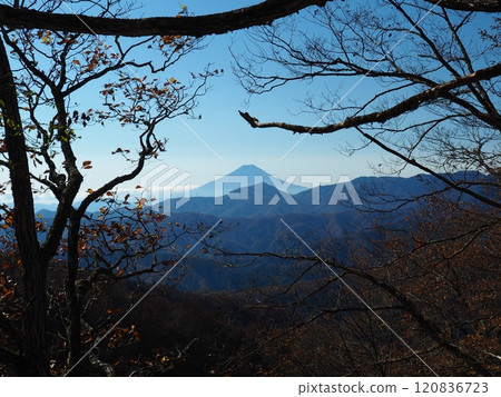 【山景】東京、埼玉、山梨縣,攀登雲取山,遠眺富士山 【山景】東京、埼玉、山梨縣,攀登雲取山,遠眺富士山 120836723