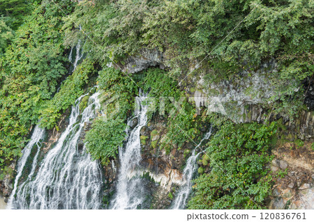 [Shirahige Falls, Biei Town] 120836761