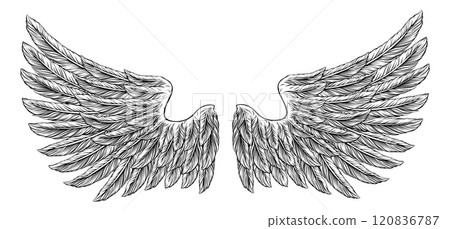 Eagle Angel Wings Tattoo Vintage Woodcut Style 120836787