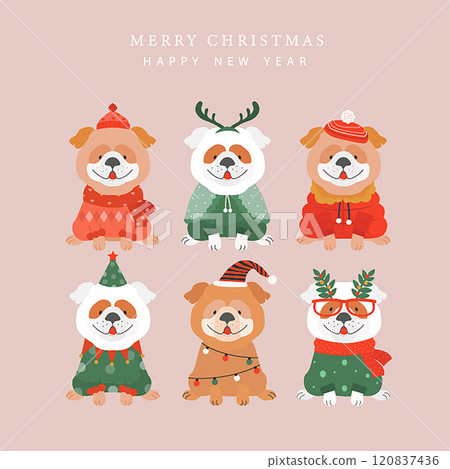 Set of Merry christmas background with cute animal and winter clothes,puppies,dog,Vector illustrations. Set of Merry christmas background with cute animal and winter clothes,puppies,dog,Vector illustrations. 120837436