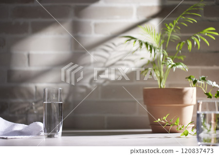 Various objects and vintage brick background with shadows of sunlight coming through the window. 120837473