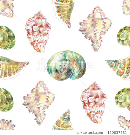 Shell pattern underwater world in watercolor. Murex Endivia, Voluta Virescens, Conch Snail, Turbo shell, Moon, Rosy Wolf snail sea shells with different form. Sea snails can be used as a sticker, a 120837581