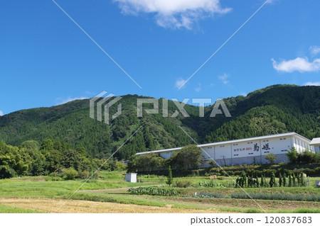 View of Shishiku Plateau from the base, Hakusan City, Ishikawa Prefecture 120837683