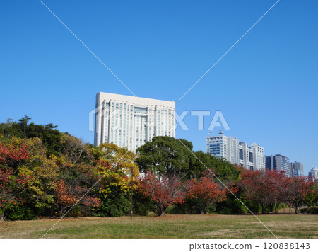 Tokyo landscape seen from a park with autumn leaves | Shiokaze Park Tokyo landscape seen from a park with autumn leaves | Shiokaze Park 120838143
