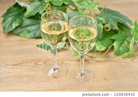 註:背景中的植物是人造葡萄葉。白葡萄酒。 註:背景中的植物是人造葡萄葉。白葡萄酒。 120838410