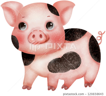 PIggy watercolor drawing PIggy watercolor drawing 120838643