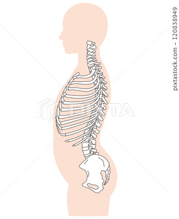 Rib gap, arched back, arched back posture 120838949