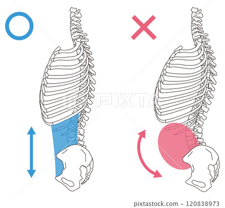 肋骨打開,下背呈拱形,正確的姿勢和下背呈拱形 肋骨打開,下背呈拱形,正確的姿勢和下背呈拱形 120838973