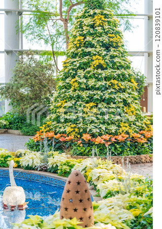 冬季濱松花卉公園、聖誕展<靜岡縣濱松市> 120839101