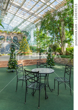 Hamamatsu Flower Park in winter, Christmas display (Hamamatsu City, Shizuoka Prefecture) 120839115