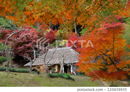 Romantic Ibaraki (Tokugawa Mitsukuni died at Nishiyamaso on December 6, 1700, much mourned by his subjects.) Hitachiota City 120839935