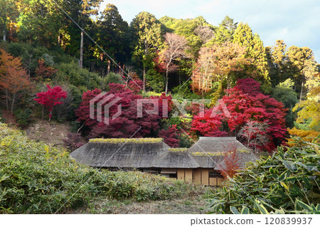 Romantic Ibaraki (Tokugawa Mitsukuni supervised the compilation of the Dai Nihonshi (History of Japan) here at Nishiyamaso) Hitachiota City 120839937