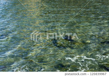海邊和海浪的美麗和神秘。來來去去的波浪，水的圖案就像大地的呼吸。 120839967