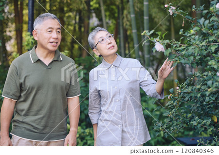 A senior couple finds beautiful flowers blooming while taking a walk 120840346