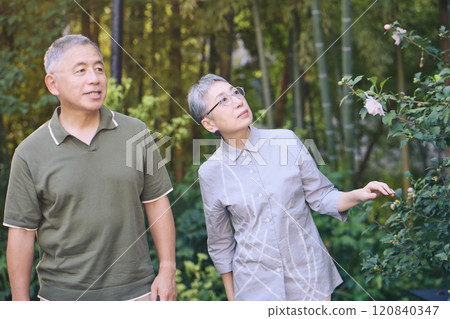 A senior couple finds beautiful flowers blooming while taking a walk 120840347