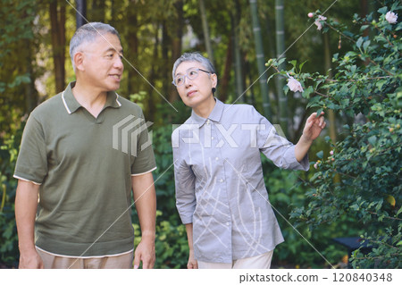 A senior couple finds beautiful flowers blooming while taking a walk 120840348