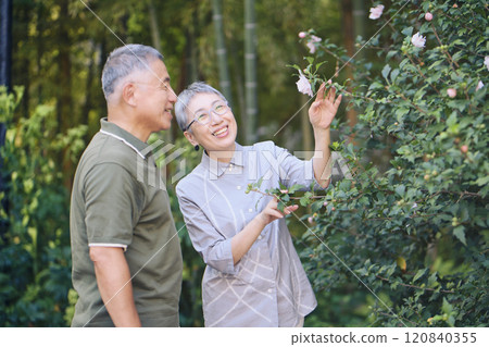 A senior couple finds beautiful flowers blooming while taking a walk 120840355