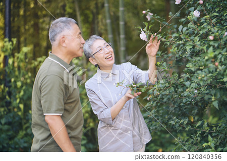 A senior couple finds beautiful flowers blooming while taking a walk 120840356