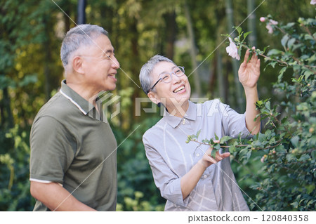A senior couple finds beautiful flowers blooming while taking a walk 120840358