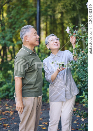 A senior couple finds beautiful flowers blooming while taking a walk 120840359