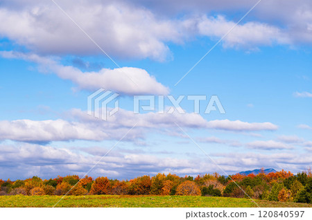 信州天空公園的秋葉 120840597