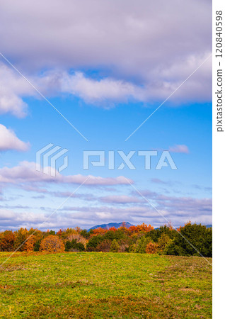 Autumn leaves at Shinshu Sky Park 120840598