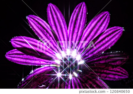 I combined flowers and sparkles I combined flowers and sparkles 120840650