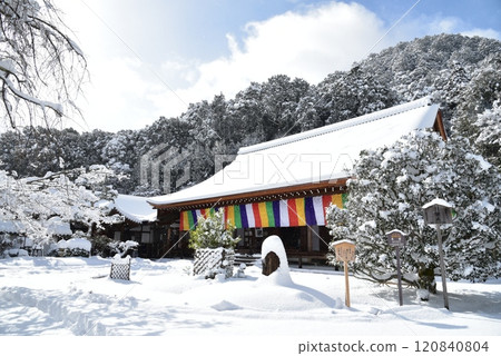 The main hall of Nison-in Temple covered in snow The main hall of Nison-in Temple covered in snow 120840804