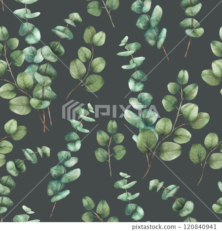 Eucalyptus plant Greenery Watercolor seamless pattern. Green branches with green Leaves hand drawn botanical illustration for wedding, floral wallpaper, natural fabric design isolated dark background Eucalyptus plant Greenery Watercolor seamless pattern. Green branches with green Leaves hand drawn botanical illustration for wedding, floral wallpaper, natural fabric design isolated dark background 120840941