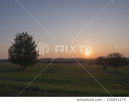 Orange sunset over green summer meadow and forest with alone cherry tree and deciduous tree alley, clear sky background, Countryside landscape, copy space, Kokorin region, central Bohemia Orange sunset over green summer meadow and forest with alone cherry tree and deciduous tree alley, clear sky background, Countryside landscape, copy space, Kokorin region, central Bohemia 120841275