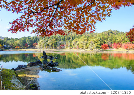 Autumn in the Pure Land Garden of Motsuji Temple, Oizumigaike Pond and Standing Stone in the Pond, Iwate Prefecture Autumn in the Pure Land Garden of Motsuji Temple, Oizumigaike Pond and Standing Stone in the Pond, Iwate Prefecture 120841530