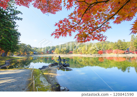 Autumn in the Pure Land Garden of Motsuji Temple, Oizumigaike Pond and Standing Stone in the Pond, Iwate Prefecture Autumn in the Pure Land Garden of Motsuji Temple, Oizumigaike Pond and Standing Stone in the Pond, Iwate Prefecture 120841590