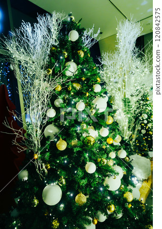 Christmas illuminations in Roppongi 120842575