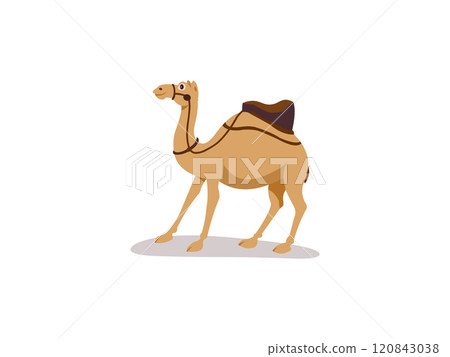 Cute Camel Cartoon Illustration Cute Camel Cartoon Illustration 120843038