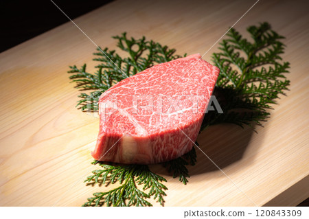 Chateaubriand raw meat 120843309
